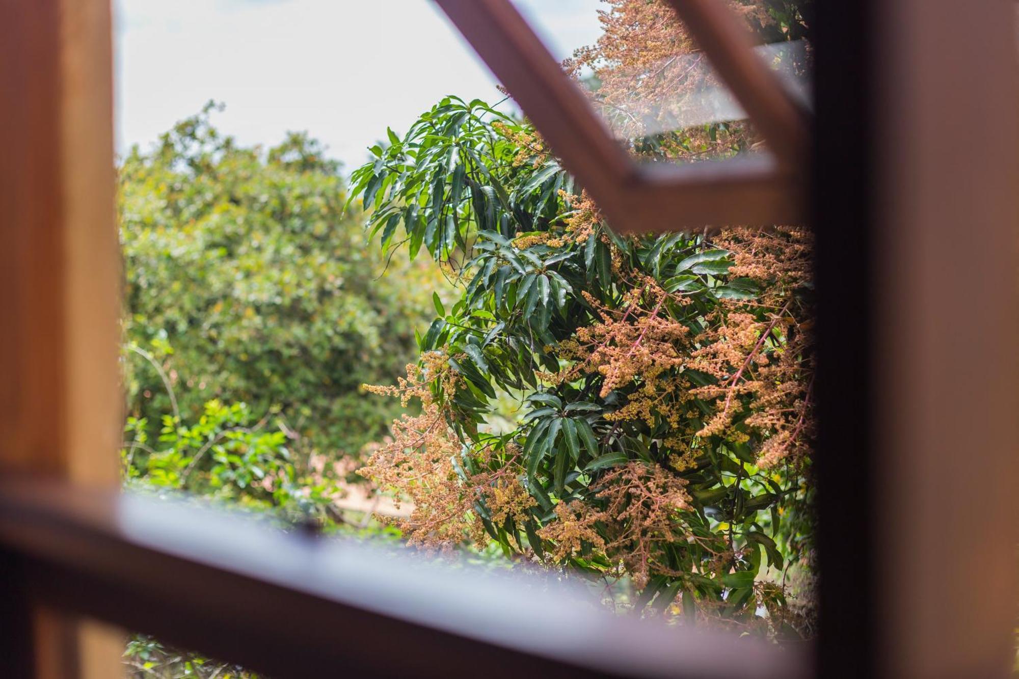 Terra Dos Diamantes Hotel Lencois Kültér fotó